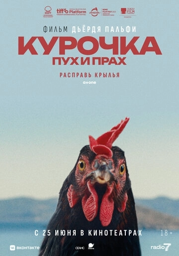 Курочка. Пух и прах