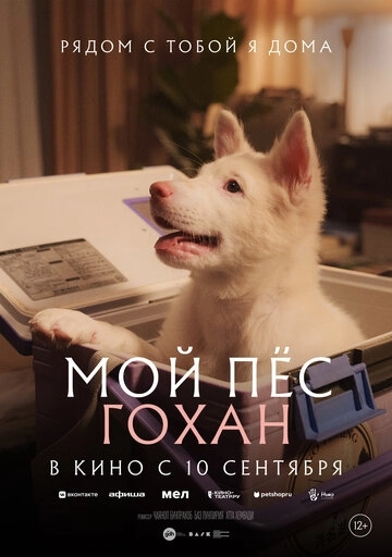 Мой пёс Гохан